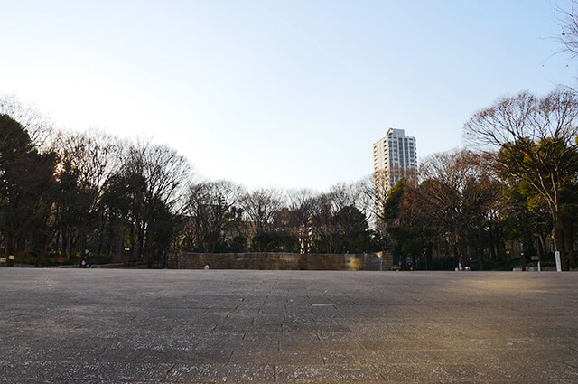 新宿中央公園とシティタワー新宿新都心